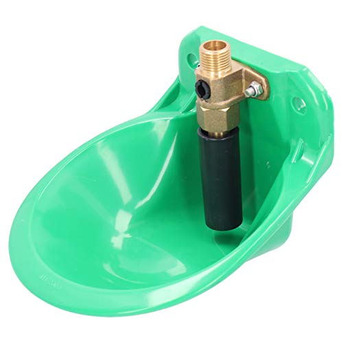 Qukaim Rinder Automatische Wasserschale Rinder Automatische Wasserschale, Kupferventil Design, Schweinewassertrinkschale, Bauernhofwerkzeug für Schafe und Schweine, Langlebiger Wasserbecher, 2M Größe, Qukaim Rinder Automatische Wasserschale Rinder Automatische Wasserschale, Kupferventil Design, Schweinewassertrinkschale, Bauernhofwerkzeug für Schafe und Schweine, Langlebiger Wasserbecher, 2M Größe, von Qukaim