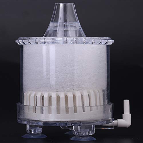 Qukaim Sauerstoffpumpenfilter Aquarium Luft Biochemischer Schwamm Eckfilter Sauerstoffpumpenfilter für Fischtank, kompaktes Design, einfache Installation, geeignet für kleine Aquarien Qukaim Sauerstoffpumpenfilter Aquarium Luft Biochemischer Schwamm Eckfilter Sauerstoffpumpenfilter für Fischtank, kompaktes Design, einfache Installation, geeignet für kleine Aquarien von Qukaim