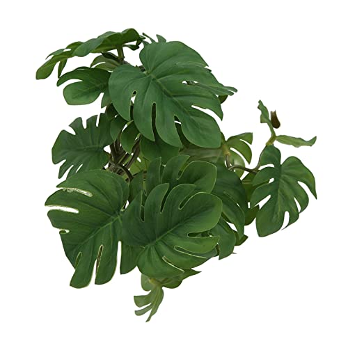 Qukaim Schildkrötenblatt Rattan Dekoration Kunststoff Schildkrötenblatt Rattan Simulation Terrarium Pflanze Reptilien Lebensraum Deko für Bartagame, Eidechse, Gecko, Schlange, 30cm lang Qukaim Schildkrötenblatt Rattan Dekoration Kunststoff Schildkrötenblatt Rattan Simulation Terrarium Pflanze Reptilien Lebensraum Deko für Bartagame, Eidechse, Gecko, Schlange, 30cm lang von Qukaim