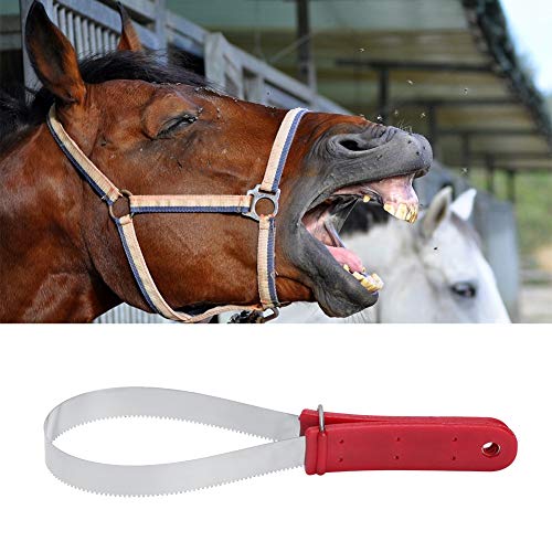 Qukaim Stainl Steel Shedder Scraper Tool, Single Shedding Blade Horse Grooming Accory with Non-Slip Handle, Heavy Duty Horse Groomer, 30.5 cm Long von Qukaim