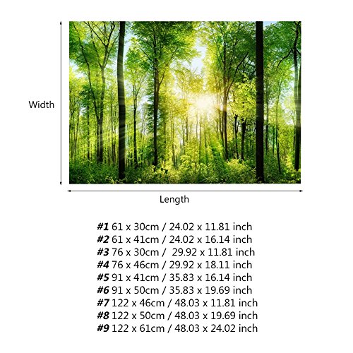 Qukaim Wald Poster 3D Effekt Klebe Wald Poster für Aquarium Fisch Tank Dekoration, 61x41cm, Realistischer Hintergrund für Wasserumgebungen Qukaim Wald Poster 3D Effekt Klebe Wald Poster für Aquarium Fisch Tank Dekoration, 61x41cm, Realistischer Hintergrund für Wasserumgebungen von Qukaim