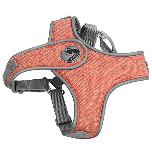 Qukaim Walking Lead Leash Reflektierendes Hundegeschirr, verstellbare Outdoor-Haustier-Leine, atmungsaktiver Brustgurt für Katzen und Hunde, Anti-Verlust-Design, Größe XS, Orange von Qukaim