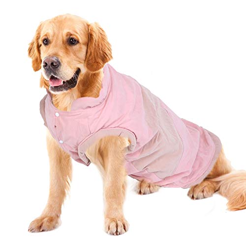 Qukaim Warmer Hundemantel, Baumwollmantel, für Herbst und Winter, dick, weich, bequem, warm, geeignet für kleine und mittelgroße Hunde, verschiedene warme Kleidung für Haustiere Qukaim Warmer Hundemantel, Baumwollmantel, für Herbst und Winter, dick, weich, bequem, warm, geeignet für kleine und mittelgroße Hunde, verschiedene warme Kleidung für Haustiere von Qukaim
