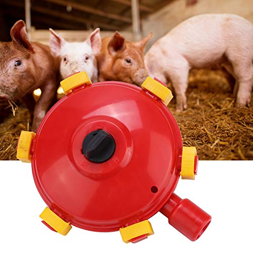 Qukaim Wasserregelventil Automatisches Wasserstandskontrollventil, Verbindet 1/2 Zoll Rohr, Bauernhof Trinkgerät für Tiere, Effizientes Wasserkontrollsystem Qukaim Wasserregelventil Automatisches Wasserstandskontrollventil, Verbindet 1/2 Zoll Rohr, Bauernhof Trinkgerät für Tiere, Effizientes Wasserkontrollsystem von Qukaim