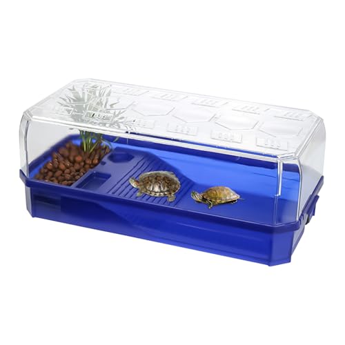 Qumiuu Großes Schildkrötenbecken, Schildkrötenaquarium mit Abflussloch, Terrarium Mit Erhöhter Rampe Und Ablaufloch Für Echsen, Schlangen Und Krabben Qumiuu Großes Schildkrötenbecken, Schildkrötenaquarium mit Abflussloch, Terrarium Mit Erhöhter Rampe Und Ablaufloch Für Echsen, Schlangen Und Krabben von Qumiuu