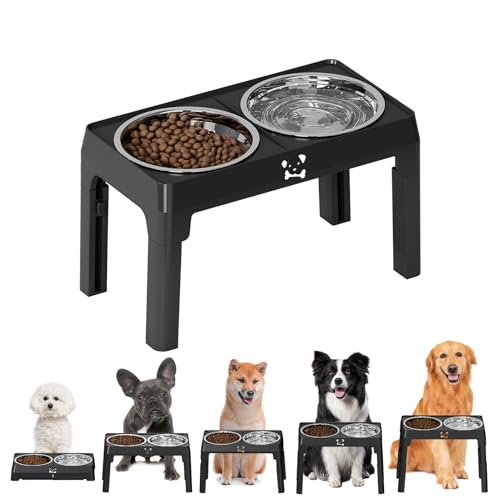 Qumiuu Hundefutter- Und Wassernapf Set - Edelstahl Hundenäpfe mit Ständer | Erhöhte Futterstation Fünf Höhen Verstellbar Für Kleine Mittlere Große Hunde Und Katzen von Qumiuu