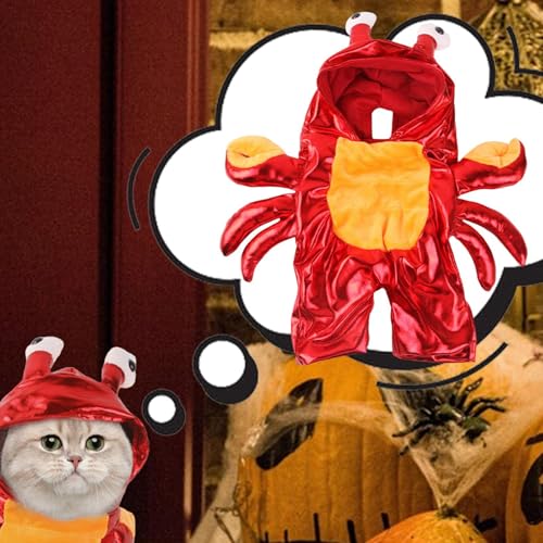 Qumiuu Hundekostüme Für Halloween,Lustige Bulldoggen Kleidung - Haustierzubehör Outfit Für Welpen Und Kätzchen Fotomotive Süßes Oder Saures Party von Qumiuu