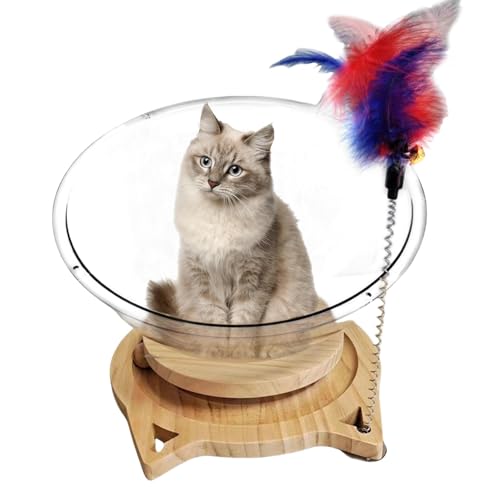 Qumiuu Katzennapfbett,Raumschiff Transparentes Katzenbett | Katzenhäuser Raumschiff Katzenbett Transparente Katzenhängematten,Katzenbett Haus Katze Raumschiff Transparent Stabiles Kätzchennest für Qumiuu Katzennapfbett,Raumschiff Transparentes Katzenbett | Katzenhäuser Raumschiff Katzenbett Transparente Katzenhängematten,Katzenbett Haus Katze Raumschiff Transparent Stabiles Kätzchennest für von Qumiuu