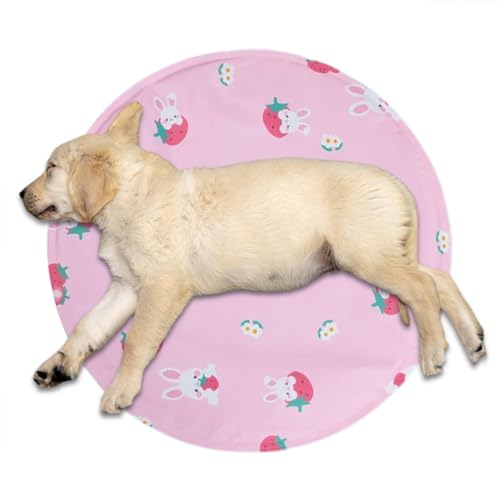 Qumiuu Kühldecke für Hunde, Sommer-Kühlmatte für Haustiere, Ice Indoor-Hundedecke, Polymer-Gel-Isomatte für kleine bis mittelgroße Hunde und Katzen Qumiuu Kühldecke für Hunde, Sommer-Kühlmatte für Haustiere, Ice Indoor-Hundedecke, Polymer-Gel-Isomatte für kleine bis mittelgroße Hunde und Katzen von Qumiuu