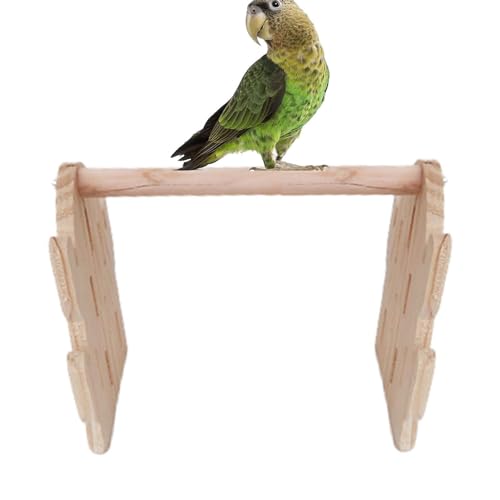 Qumiuu Papageienständer, Vogelständer,Spielständer aus für Vögel | Niedliches Vogelstangen-Ständerspielzeug, Vogelkäfig-Übungsspielzeug, Sittichkäfig-Zubehör für grüne Wangen, Chinchilla Qumiuu Papageienständer, Vogelständer,Spielständer aus für Vögel | Niedliches Vogelstangen-Ständerspielzeug, Vogelkäfig-Übungsspielzeug, Sittichkäfig-Zubehör für grüne Wangen, Chinchilla von Qumiuu