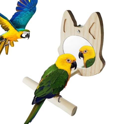 Qumiuu Spiegelperch, Spiegelvogelperchs - sheset Stand Play Toys | Interaktive Spielzeugkäfige Zubehör für Papageienzeitpapageien Saggies Cockatiels Conures Lovebird Finch Kanaren von Qumiuu