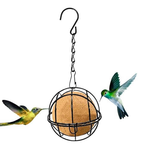 Qumiuu Vogelfutterbälle,Wildvogelfutterbälle, Vogelhäuschen zum Aufhängen im Freien, Vogelfutterspender für den Garten, Talgball-Futterspender, Vogelfutterspender aus Edelstahl, Gartendekoration für Qumiuu Vogelfutterbälle,Wildvogelfutterbälle, Vogelhäuschen zum Aufhängen im Freien, Vogelfutterspender für den Garten, Talgball-Futterspender, Vogelfutterspender aus Edelstahl, Gartendekoration für von Qumiuu