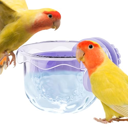 Qumiuu Vogelfutternapf - Vogelnapf Für Käfig,Spritzsichere Reisenapf Für Papageien Sittiche Aras Innen Außen Voliere Garten Qumiuu Vogelfutternapf - Vogelnapf Für Käfig,Spritzsichere Reisenapf Für Papageien Sittiche Aras Innen Außen Voliere Garten von Qumiuu