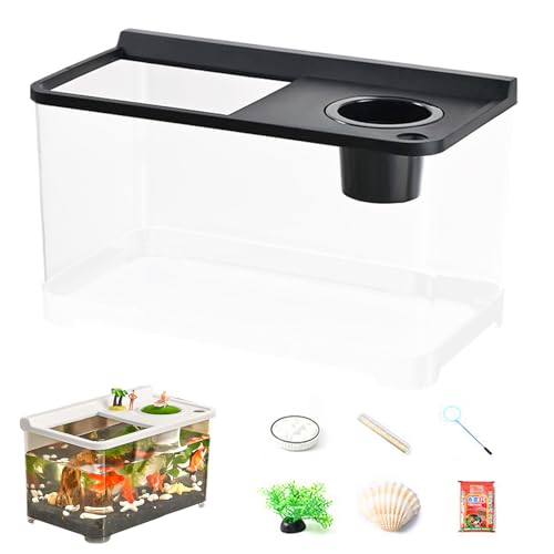 Quorvex Betta Aquarium 3 Farbbeleuchtung | Hochtransparenter Tank,Hydroponisches Tischaquarium Für Tischlandschaft Home Arbeitsplatz Eingangsbereich Schlafzimmer Quorvex Betta Aquarium 3 Farbbeleuchtung | Hochtransparenter Tank,Hydroponisches Tischaquarium Für Tischlandschaft Home Arbeitsplatz Eingangsbereich Schlafzimmer von Quorvex