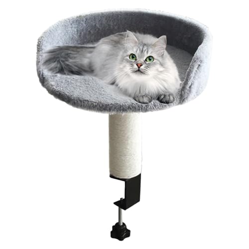 Quorvex Katzenplatz Für Schreibtisch Abnehmbar - Katzen Hängematte Schreibtisch | Weiche Polsterauflage Gemütliches Nest Indoor Für Wohnung Schlafzimmer Zuhause Haustiere Katzen Quorvex Katzenplatz Für Schreibtisch Abnehmbar - Katzen Hängematte Schreibtisch | Weiche Polsterauflage Gemütliches Nest Indoor Für Wohnung Schlafzimmer Zuhause Haustiere Katzen von Quorvex