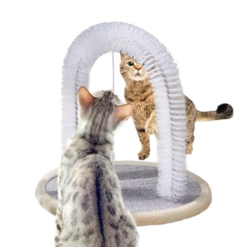 Quorvex Kratzbürste für Katzen, Gesichtskratzer, Körpermassagegerät, bissfestes Kätzchen-Kratzspielzeug, Haustierzubehör für mittelgroße, kleine Kätzchen Quorvex Kratzbürste für Katzen, Gesichtskratzer, Körpermassagegerät, bissfestes Kätzchen-Kratzspielzeug, Haustierzubehör für mittelgroße, kleine Kätzchen von Quorvex