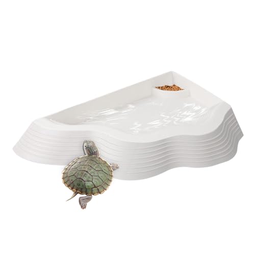 Quorvex Schildkröten Wasserschale - Anti-Rutsch Schildkröten Wasserschale Mit Rampe - Badebecken für Echsen wie Gecko Schlange Bartagame Quorvex Schildkröten Wasserschale - Anti-Rutsch Schildkröten Wasserschale Mit Rampe - Badebecken für Echsen wie Gecko Schlange Bartagame von Quorvex