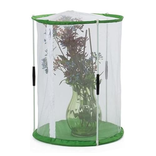 Quorvex Schmetterlingskäfig | 30 x 39 cm Raupengehege mit Reißverschluss | Faltbarer Pflanzenschutz für Naturstudium Outdoor Hinterhof Garten von Quorvex