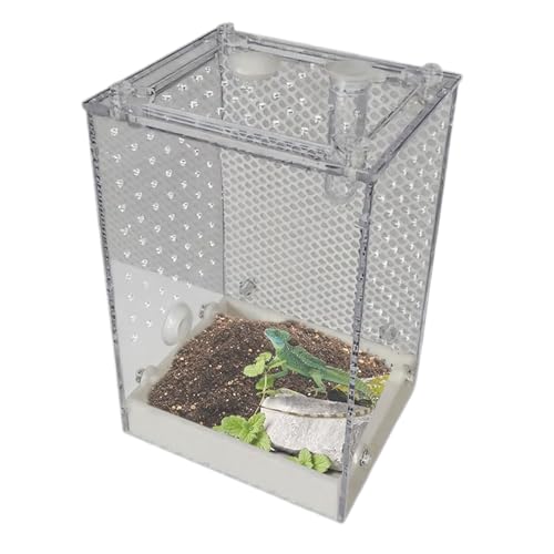 Quorvex Springspinnen Terrarium - Durchsichtige Beobachtungsbox für Käfer,Abnehmbares Innenterrarium für Spinnen Gottesanbeterinnen Skorpione Grillen in Bildungsumgebung für alle Altersgruppen Quorvex Springspinnen Terrarium - Durchsichtige Beobachtungsbox für Käfer,Abnehmbares Innenterrarium für Spinnen Gottesanbeterinnen Skorpione Grillen in Bildungsumgebung für alle Altersgruppen von Quorvex