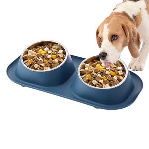 Qurygin Hundefutter-Wassernapf | Doppelschüssel aus Edelstahl | rutschfeste Doppel-Wasser- und Futternäpfe für Hunde für kleine Welpen, Katzen, Hunde und mittelgroße Haustiere von Qurygin