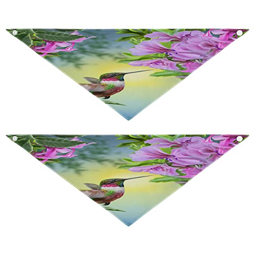 2 Stück Hundehalstuch, Frühlingsblume Kolibri, Vogel, Haustier-Bandana für Hund, Katzen, Halstuch, waschbar, Haustier-Dreieck-Lätzchen, Hundeschal, Urlaubszubehör für Welpen, Katzen, Hunde, klein von Quteprint