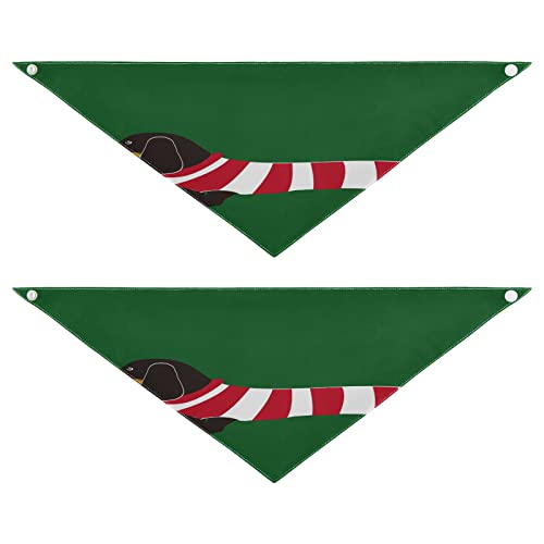 2 Stück Hundehalstuch, Tier-Dackel, Hunde-Streifen, Haustier-Bandana für Hunde, Katzen, Haustier-Dreieck-Lätzchen, Hundeschal, Urlaubszubehör für Welpen, Katzen, Hunde, Groß 2 Stück Hundehalstuch, Tier-Dackel, Hunde-Streifen, Haustier-Bandana für Hunde, Katzen, Haustier-Dreieck-Lätzchen, Hundeschal, Urlaubszubehör für Welpen, Katzen, Hunde, Groß von Quteprint