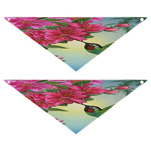 2 Stück Hundehalstuch, Vogel, Kolibri, Blume, Haustierhalstuch, waschbar, Haustier-Dreieck-Lätzchen, Hundeschal, Urlaubszubehör für Welpen, Katzen, Hunde, Größe M 2 Stück Hundehalstuch, Vogel, Kolibri, Blume, Haustierhalstuch, waschbar, Haustier-Dreieck-Lätzchen, Hundeschal, Urlaubszubehör für Welpen, Katzen, Hunde, Größe M von Quteprint