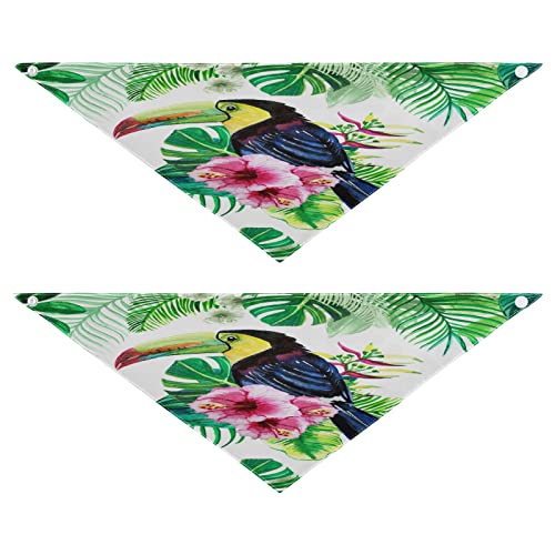 2 Stück Hundehalstuch, Vogel-Tukan tropische Blätter Haustier Bandana für Hund Katze Halstuch waschbar Haustier Dreieck Lätzchen Hundeschal Urlaub Zubehör für Welpen Katzen Hunde, klein 2 Stück Hundehalstuch, Vogel-Tukan tropische Blätter Haustier Bandana für Hund Katze Halstuch waschbar Haustier Dreieck Lätzchen Hundeschal Urlaub Zubehör für Welpen Katzen Hunde, klein von Quteprint
