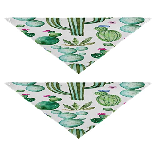 2er Pack Hundehalstücher Kaktus Blumen Aquarell für Hunde Katzen Waschbare Halstücher Dreieckstuch Hundelätzchen Urlaub Zubehör für Welpen Katzen Hunde Größe S 2er Pack Hundehalstücher Kaktus Blumen Aquarell für Hunde Katzen Waschbare Halstücher Dreieckstuch Hundelätzchen Urlaub Zubehör für Welpen Katzen Hunde Größe S von Quteprint