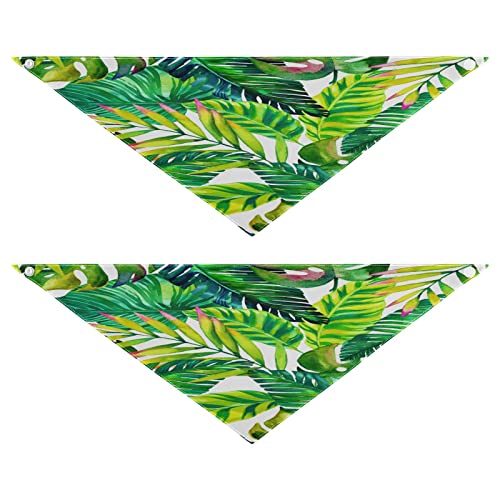 Hundehalstuch, Motiv: tropische Strandpalmenblätter, Haustier-Bandana für Hund und Katze, waschbar, Dreieck-Lätzchen, Hundeschal, Urlaubszubehör für Welpen, Katzen, Hunde, Größe M, 2 Stück Hundehalstuch, Motiv: tropische Strandpalmenblätter, Haustier-Bandana für Hund und Katze, waschbar, Dreieck-Lätzchen, Hundeschal, Urlaubszubehör für Welpen, Katzen, Hunde, Größe M, 2 Stück von Quteprint