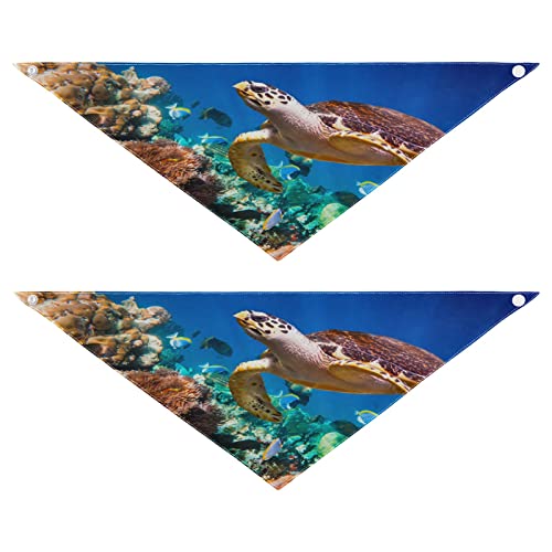 Hundehalstuch, Ozean, Meerestier, Fischschildkröte, Haustierhalstuch für Hunde, Katzen, Haustier, Dreieck, Lätzchen, Hundeschal, Urlaubszubehör für Welpen, Katzen, Hunde, Größe M, 2 Stück Hundehalstuch, Ozean, Meerestier, Fischschildkröte, Haustierhalstuch für Hunde, Katzen, Haustier, Dreieck, Lätzchen, Hundeschal, Urlaubszubehör für Welpen, Katzen, Hunde, Größe M, 2 Stück von Quteprint