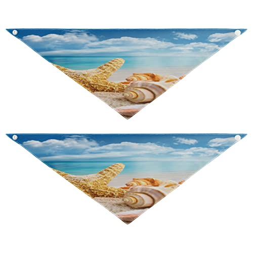 Hundehalstuch, Sommer, Strand, Seestern, Muscheln, Haustierhalstuch für Hunde, Katzen, Haustier, Dreieck, Lätzchen, Hundeschal, Urlaubszubehör für Welpen, Katzen, Hunde, Größe M, 2 Stück Hundehalstuch, Sommer, Strand, Seestern, Muscheln, Haustierhalstuch für Hunde, Katzen, Haustier, Dreieck, Lätzchen, Hundeschal, Urlaubszubehör für Welpen, Katzen, Hunde, Größe M, 2 Stück von Quteprint