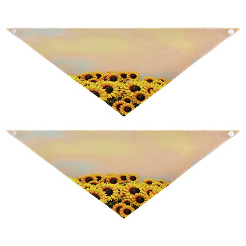 Hundehalstuch, Sommerblumen, Sonnenblumen, Haustierhalstuch für Hunde, Katzen, Halstuch, waschbar, Haustier-Dreieck-Lätzchen, Hundeschal, Urlaubszubehör für Welpen, Katzen, Hunde, groß, 2 Stück Hundehalstuch, Sommerblumen, Sonnenblumen, Haustierhalstuch für Hunde, Katzen, Halstuch, waschbar, Haustier-Dreieck-Lätzchen, Hundeschal, Urlaubszubehör für Welpen, Katzen, Hunde, groß, 2 Stück von Quteprint