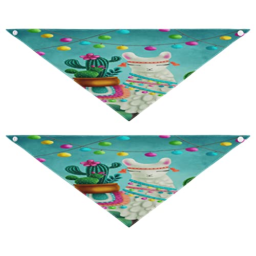 Hundehalstuch, Tier-Alpaka, Lama, Kaktus, Haustier-Bandana für Hunde, Katzen, Haustier-Dreieck-Lätzchen, Hundeschal, Urlaubszubehör für Welpen, Katzen, Hunde, Größe M, 2 Stück Hundehalstuch, Tier-Alpaka, Lama, Kaktus, Haustier-Bandana für Hunde, Katzen, Haustier-Dreieck-Lätzchen, Hundeschal, Urlaubszubehör für Welpen, Katzen, Hunde, Größe M, 2 Stück von Quteprint