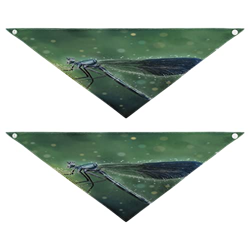 Hundehalstuch, Tier-Libelle, Haustier-Bandana für Hund und Katzen, waschbar, Dreieck-Lätzchen, Hundeschal, Urlaubszubehör für Welpen, Katzen, Hunde, Größe M, 2 Stück Hundehalstuch, Tier-Libelle, Haustier-Bandana für Hund und Katzen, waschbar, Dreieck-Lätzchen, Hundeschal, Urlaubszubehör für Welpen, Katzen, Hunde, Größe M, 2 Stück von Quteprint