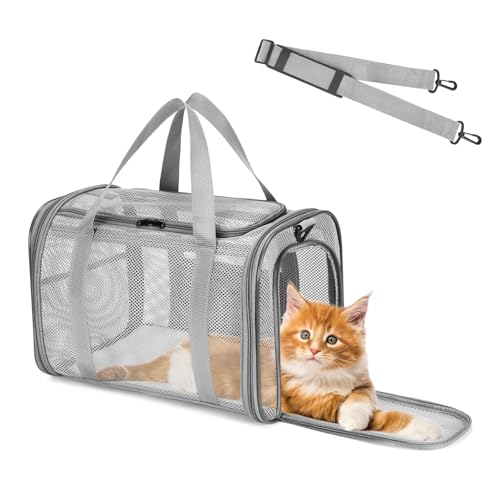 Quuylin Katzentragetasche, Transporttasche für Katze Hund, Hundetransportbox Hundebox Faltbar, Katzentransportbox mit Tasche & Griffen, Transportbox für Kleine Hund Katze, Zug, Reisen(46x26x29cm) von Quuylin
