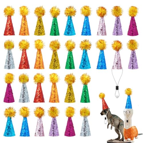 Quystetes Für Tierfiguren, Spielzeug, Mini-Partyhüte, winzige Glitzerkegel, Geburtstagshüte mit Pompons, 30 Stück Quystetes Für Tierfiguren, Spielzeug, Mini-Partyhüte, winzige Glitzerkegel, Geburtstagshüte mit Pompons, 30 Stück von Quystetes