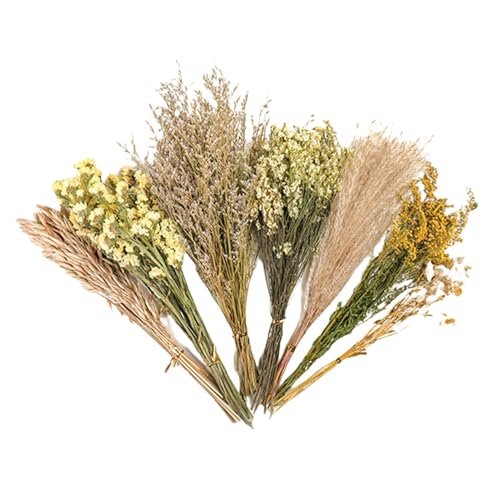 Quzente Einstreu für Hamsterblumen, Haustier-Blumen-Bettwäsche, natürliches Thema, Käfig-Dekoration, Blume, Hamster, Bettwäsche, Käfigzubehör für Rennmäuse Quzente Einstreu für Hamsterblumen, Haustier-Blumen-Bettwäsche, natürliches Thema, Käfig-Dekoration, Blume, Hamster, Bettwäsche, Käfigzubehör für Rennmäuse von Quzente