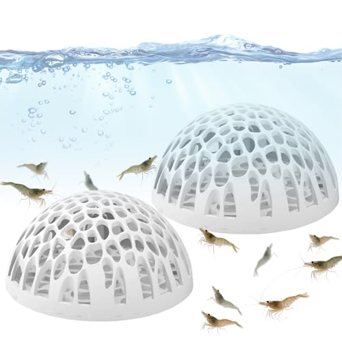 Quzente Höhle für | Betta-Versteck für Aquarien | 2 Stück -Zuchtunterstand für kleine Wasser-Enthusiasten, Zuhause, Büro, Schule, Schreibtisch, Tropische Fische, Betta von Quzente