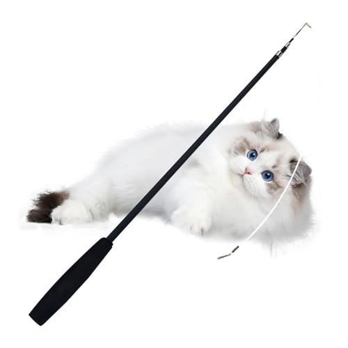 Quzente Katzenrolle Angelruten-Spielzeug – Interaktives Feder-Teaser-Katzenspielzeug-Set, 4-teilige Ersatz-Teaser mit Federersatz, 2 Köpfen, lustige Übung für Kätzchen oder Katzen Quzente Katzenrolle Angelruten-Spielzeug – Interaktives Feder-Teaser-Katzenspielzeug-Set, 4-teilige Ersatz-Teaser mit Federersatz, 2 Köpfen, lustige Übung für Kätzchen oder Katzen von Quzente