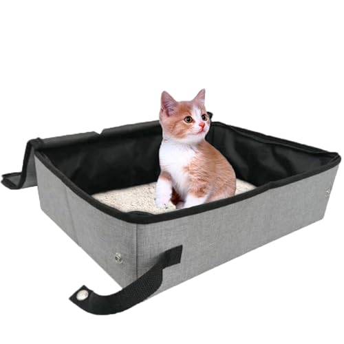 Katze Reisetoilette für Auto, Reise Katzenklo mit Deckel, Katzenklo Reise Faltbare Tragbare für Klein, Faltbare Katzentoilette mit Deckel, für Reisen, Outdoor, Park, Zuhause (Grau) von Deautie