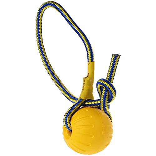 Qwertfeet Hundetraining Spielzeugball Hund Gummiball Kaubissfestes Spielzeug mit Seil (9Cm) von Qwertfeet