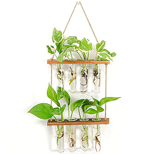 Qwertfeet Pflanze Wandbehang Glas Ausbreitung Station Rohre Blumenterrarium mit Holzständer Moderne Vasen Zubehör für Zuhause von Qwertfeet