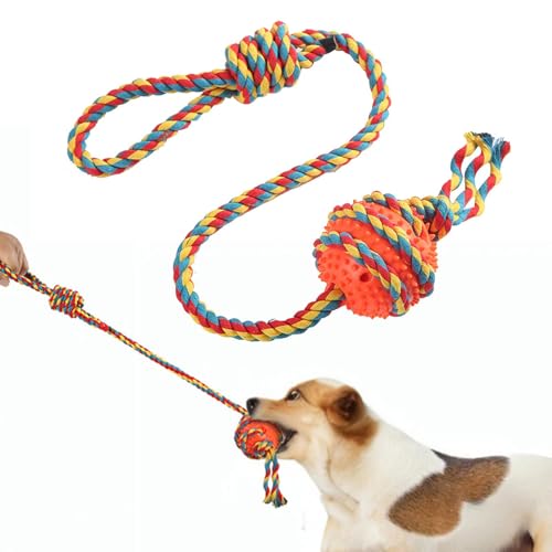 Qyljeiwred Hundespielzeug für aggressives , Kauspielzeug für Welpen, robustes Haustier-Training, Zahnreinigungszubehör für Liebhaber, Familien Qyljeiwred Hundespielzeug für aggressives , Kauspielzeug für Welpen, robustes Haustier-Training, Zahnreinigungszubehör für Liebhaber, Familien von Qyljeiwred