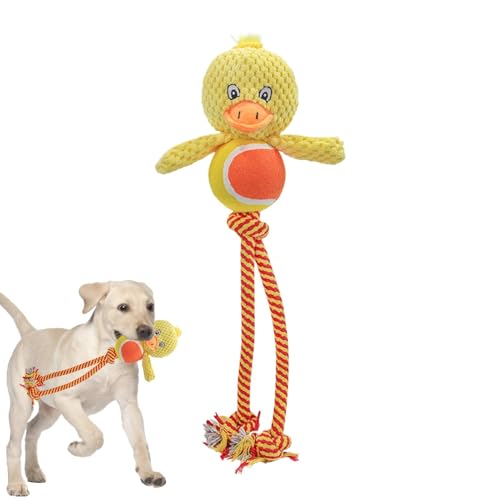 Qyljeiwred Quietschendes Plüsch-Hundespielzeug – integrierter Klang, Zahnspielzeug, Hundespielzeug, verschleißfestes, sicheres Quietschspielzeug, Plüschspielzeug für Haustiere, Hunde, Welpen Qyljeiwred Quietschendes Plüsch-Hundespielzeug – integrierter Klang, Zahnspielzeug, Hundespielzeug, verschleißfestes, sicheres Quietschspielzeug, Plüschspielzeug für Haustiere, Hunde, Welpen von Qyljeiwred