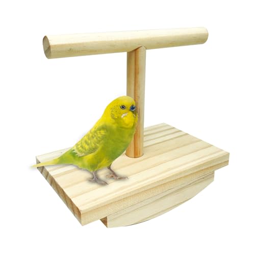 Qyljeiwred Sittich-Sitzstangen – Vogelsitzstange aus Holz, Schaukelspielzeug zum Stehen, interaktives Spielfenster, Schreibtisch, Vogelbeobachtung, Haustier draußen von Qyljeiwred