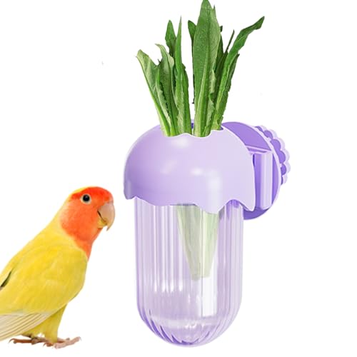 Qyljeiwred Vogelschalen für Käfig | Papageien-Futterbecher | Wasser- und Futterbehälter mit Klemme Futterschale für Aras, Conure, Finken, Wellensittiche, Nymphensittiche, Kleintiere Qyljeiwred Vogelschalen für Käfig | Papageien-Futterbecher | Wasser- und Futterbehälter mit Klemme Futterschale für Aras, Conure, Finken, Wellensittiche, Nymphensittiche, Kleintiere von Qyljeiwred