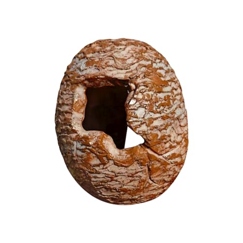 Frog House Outside Garden, Resin Dinosaur Egg-Shaped Shelter, Pet Amphibians, 8 x 11 cm, Terrarium Burrow and Climbing Spot for Outdoor Yard, Bedroom, Or Viewing Corner Zoos Viewing Rooms von Qzdtue