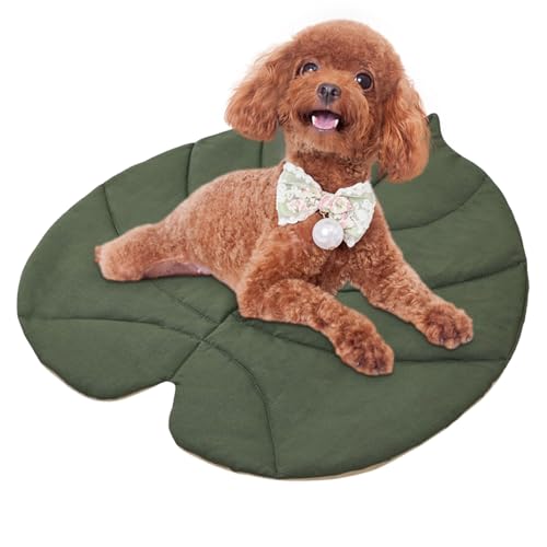 Hundematte, waschbares Haustier-Pad, weicher Mattress Protector, 59 x 60 cm, Leaf Shaped Cozy Design mit Warm gesteppt, für Auto, Boden, Sofa, Bett, Stuhl, Reisen, Camping und den Innenbereich Hundematte, waschbares Haustier-Pad, weicher Mattress Protector, 59 x 60 cm, Leaf Shaped Cozy Design mit Warm gesteppt, für Auto, Boden, Sofa, Bett, Stuhl, Reisen, Camping und den Innenbereich von Qzdtue