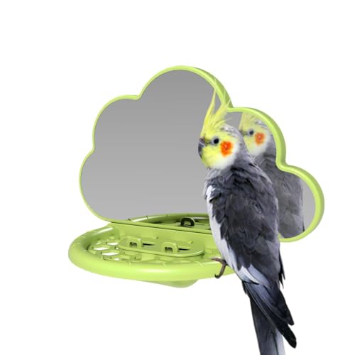 Nymphensittich-Spiegelkäfig, Sitzstangen für Wellensittiche, Vogelspielzeug, Papageienspiegel, Futterbecher für Nymphensittiche, Vogelkäfig-Zubehör Nymphensittich-Spiegelkäfig, Sitzstangen für Wellensittiche, Vogelspielzeug, Papageienspiegel, Futterbecher für Nymphensittiche, Vogelkäfig-Zubehör von Qzdtue